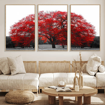80021-MGV-FC-60X30-3P_Natural-Red Tree Wall Art – Striking Black and White Landscape Canvas Print with Vibrant Red Leaves, Modern Nature Decor for Living Room