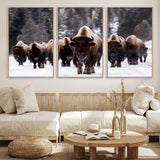 66871-MGV-FC-60X30-3P_Natural-Bison Herd Wall Art – Wildlife Buffalo Canvas Print, Rustic Western Nature Photography Decor for Living Room, Office, Cabin, or