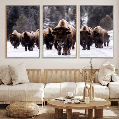 66871-MGV-CV-36X24-Bison Herd Wall Art – Wildlife Buffalo Canvas Print, Rustic Western Nature Photography Decor for Living Room, Office, Cabin, or