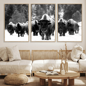 62434-MGV-FC-60X30-3P_Natural-Bison Herd Wall Art – Majestic Black and White Buffalo Canvas Print, Wildlife Nature Photography Decor for Living Room, Office or