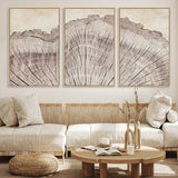 67528-MGV-FC-60X30-3P_Natural-Wood Ring Wall Art Canvas Print, Framed Tree Ring Art Picture Print, Rustic Tree Ring Perfect Neutral Boho Decor Artwork