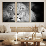 94453-MGV-CV-36X24-Lion Portrait Wall Art – Black and White King of the Jungle Canvas Print, Safari Wildlife Decor for Office, Bedroom, or Living