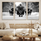45287-MGV-FC-60X30-3P_Natural-Bison Herd Wall Art – Black and White Buffalo Snow Road Canvas Print, Rustic Wildlife Decor for Cabin, Lodge or Living Room