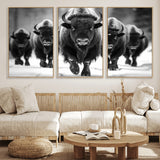 79872-MGV-CV-36X24-Bison Herd Wall Art – Black and White Buffalo on Snow Canvas Print, Rustic Wildlife Decor for Lodge, Cabin, or Living Room