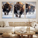 80512-MGV-CV-36X24-Bison Herd Wall Art – Buffalo Running in Snow Canvas Print, Rustic Wildlife Photography Decor for Cabin, Lodge, or Living Room