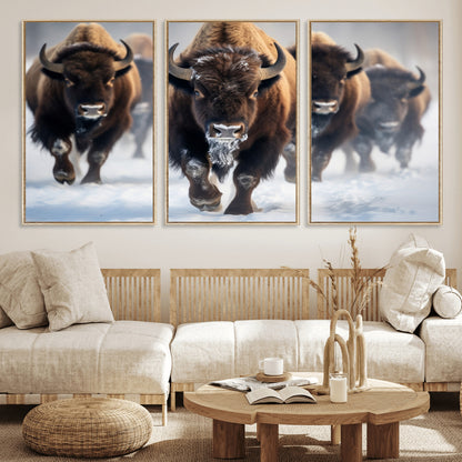 80512-MGV-CV-36X24-Bison Herd Wall Art – Buffalo Running in Snow Canvas Print, Rustic Wildlife Photography Decor for Cabin, Lodge, or Living Room