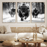97552-MGV-CV-36X24-Black and White Bison Wall Art – Buffalo Herd Running in Snow Canvas Print, Rustic Wildlife Photography Decor for Cabin, Lodge, or