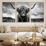 17924-MGV-FC-60X30-3P_Natural-Highland Cow Wall Art – Black and White Rustic Longhorn Cattle Canvas Print, Farmhouse Animal Photography Decor for Country Home