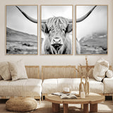 80564-MGV-CV-36X24-Highland Cow Wall Art – Black and White Scottish Highland Canvas Print, Rustic Farmhouse Decor for Living Room, Bedroom or Office