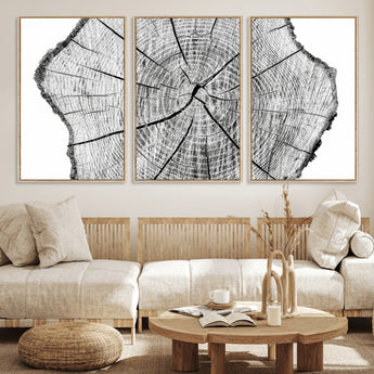 98709-MGV-CV-36X24-Tree Ring Wall Art – Black and White Canvas Print Rustic Wood Cross Section, Minimal Nature Inspired Decor for Living Room,