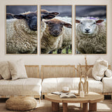 18418-MGV-CV-36X24-Sheep Wall Art Canvas Print, Framed Farmhouse Sheep Art Picture Print, Sheep Herd Perfect Rustic Farmhouse Decor Artwork