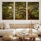 57983-MGV-CV-36X24-Angel Oak Tree Wall Art Canvas Print, Framed Oak Tree Art Picture Print, Angel Oak Perfect Rustic Nature Decor Artwork