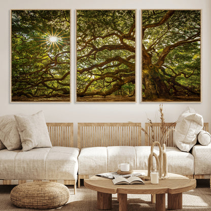57983-MGV-CV-36X24-Angel Oak Tree Wall Art Canvas Print, Framed Oak Tree Art Picture Print, Angel Oak Perfect Rustic Nature Decor Artwork