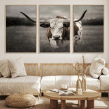 69238-MGV-FC-60X30-3P_Natural-Longhorn Bull Wall Art – Rustic Black and White Texas Cattle Canvas Print, Western Farmhouse Animal Photography for Living Room,