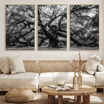 132944706-MGV-FC-60X30-3P_Natural-Ancient Tree Wall Art – Black and White Photography Canvas Print Featuring Majestic Twisting Branches, Rustic Nature Artwork for
