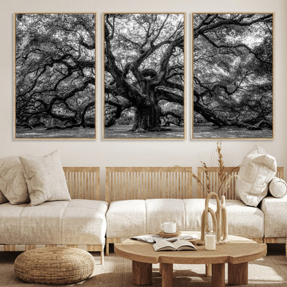 132944706-MGV-FC-60X30-3P_Natural-Ancient Tree Wall Art – Black and White Photography Canvas Print Featuring Majestic Twisting Branches, Rustic Nature Artwork for