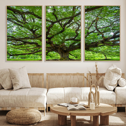49375306-MGV-FC-60X30-3P_Natural-Ancient Tree Wall Art Canvas Print, Framed Sprawling Branches Art Picture Print, Gnarling Tree Perfect Earthy Natural Decor
