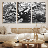 81655611-MGV-CV-36X24-Ancient Oak Wall Art Canvas Print, Framed Twisted Branches Art Picture Print, Gnarled Tree Perfect Moody Nature Decor Artwork