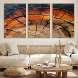 65909987-MGV-FC-60X30-3P_Natural-Rustic Tree Ring Wall Art – Nature Inspired Wooden Texture Canvas Print, Modern Abstract Artwork for Living Room, Bedroom, Office