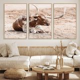25407592-MGV-CV-36X24-Texas Longhorn Wall Art Canvas Print, Framed Resting Bull Art Picture Print, Spotted Cattle Perfect Rustic Western Decor Artwork