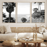 89458520-MGV-FC-60X30-3P_Natural-Palm Trees Wall Art Canvas Print, Framed Coastal View Art Picture Print, Ocean Horizon Perfect Monochrome Coast Decor Artwork