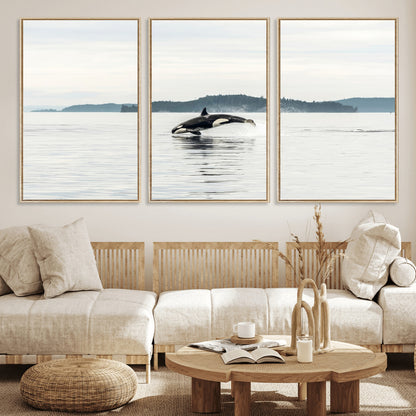 10157174-MGV-CV-36X24-Orca Whale Wall Art Canvas Print, Framed Black White Whale Art Picture Print, Minimalist Ocean Perfect Coastal Minimalist Decor
