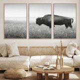 28435251-MGV-CV-36X24-Bison In Prairie Wall Art Canvas Print, Framed Rustic Wildlife Art Picture Print, Wild Buffalo Perfect Rustic Western Decor