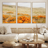 28972262-MGV-CV-36X24-Golden Wildflowers Wall Art Canvas Print, Framed Hills Bloom Art Picture Print, Poppy Meadow Perfect Rustic Nature Decor Artwork