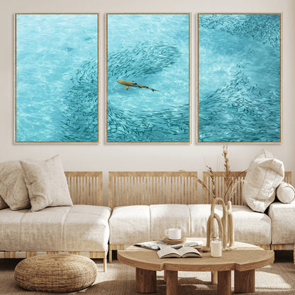 43671474-MGV-CV-36X24-Fish Swarm Wall Art Canvas Print, Framed Marine Life Art Picture Print, Shark Aerial Perfect Wildlife Coastal Decor Artwork