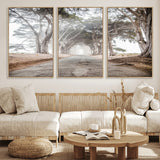 87090469-MGV-CV-36X24-Cypress Tunnel Wall Art Canvas Print, Framed Misty Road Art Picture Print, Foggy Trees Perfect Rustic Woodland Decor Artwork