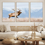 96024025-MGV-FC-60X30-3P_Natural-Elk Photography Wall Art Canvas Print, Framed Mountain Wildlife Art Picture Print, Rustic Lodge Decor Perfect Rustic Lodge Decor