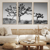 50975475-MGV-FC-60X30-3P_Natural-Joshua Tree Art Wall Art Canvas Print, Framed Desert Tree Print Art Picture Print, Black White Nature Perfect Southwestern Boho