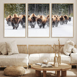 22695857-MGV-CV-36X24-Bison Herd Scene Wall Art Canvas Print, Framed Western Wildlife Art Picture Print, Rustic Animal Art Perfect Rustic Lodge Decor