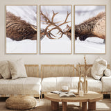 36507609-MGV-CV-36X24-Elk Clash Scene Wall Art Canvas Print, Framed Wildlife Strength Decor Art Picture Print, Snowy Forest Elk Perfect Rustic Lodge