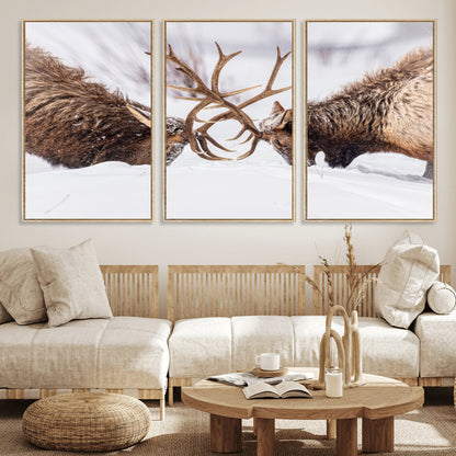 36507609-MGV-CV-36X24-Elk Clash Scene Wall Art Canvas Print, Framed Wildlife Strength Decor Art Picture Print, Snowy Forest Elk Perfect Rustic Lodge