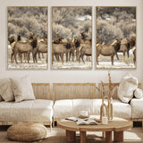 90269422-MGV-FC-60X30-3P_Natural-Elk Herd Scene Wall Art Canvas Print, Framed Rustic Wildlife Decor Art Picture Print, Western Cabin Style Perfect Rustic Lodge