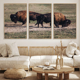 58141885-MGV-FC-60X30-3P_Natural-Bison Photography Wall Art Canvas Print, Framed Western Wildlife Art Picture Print, Modern Ranch Perfect Western Rustic Decor