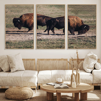 58141885-MGV-FC-60X30-3P_Natural-Bison Photography Wall Art Canvas Print, Framed Western Wildlife Art Picture Print, Modern Ranch Perfect Western Rustic Decor