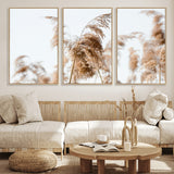 17019393-MGV-FC-60X30-3P_Natural-Pampas Grass Wall Art Canvas Print, Framed Neutral Tones Art Picture Print, Minimalist Nature Perfect Boho Minimalist Decor