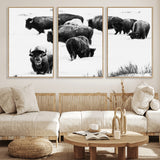 18914414-MGV-FC-60X30-3P_Natural-Buffalo Herd Wall Art Canvas Print, Framed Black and White Art Picture Print, Snowy Landscape Perfect Rustic Lodge Decor Decor