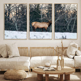 36533178-MGV-FC-60X30-3P_Natural-Wild Elk Photography Wall Art Canvas Print, Framed Winter Wildlife Art Picture Print, Snowy Forest Perfect Rustic Lodge Decor
