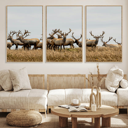 42170220-MGV-FC-60X30-3P_Natural-Elk Herd Wall Art Canvas Print, Framed Wildlife Photography Art Picture Print, Majestic Antlers Perfect Rustic Wildlife Decor