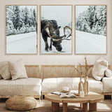 13316292-MGV-FC-60X30-3P_Natural-Moose in Snow Wall Art Canvas Print, Framed Winter Wildlife Art Picture Print, Snowy Forest Scene Perfect Rustic Lodge Decor