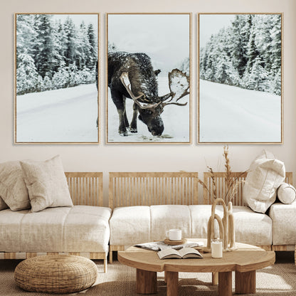 13316292-MGV-FC-60X30-3P_Natural-Moose in Snow Wall Art Canvas Print, Framed Winter Wildlife Art Picture Print, Snowy Forest Scene Perfect Rustic Lodge Decor