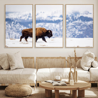 21623194-MGV-FC-60X30-3P_Natural-Snow Bison Wall Art – Majestic Buffalo Wildlife Canvas Print, Winter Nature Décor for Rustic Living Room, Farmhouse, Cabin, Lodge
