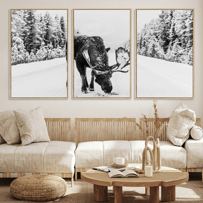 38956835-MGV-CV-36X24-Moose Winter Snowy Forest Canvas Wall Art – Wildlife Nature, Antlers in Frozen Landscape, Quiet Path, Cold Season Outdoors Print