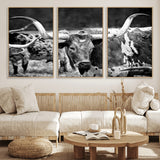 15425553-MGV-CV-36X24-Western Wall Art – Longhorn Cattle Black and White Canvas Print, Rustic Ranch Photography Decor for Bedroom, Living Room, Office,