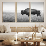 90861202-MGV-FC-60X30-3P_Natural-Black and White Bison Canvas Wall Art – Rustic American Buffalo Print, Western Wildlife Photography for Farmhouse, Cabin, Office