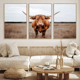 16316734-MGV-FC-60X30-3P_Natural-Texas Longhorn Wall Art – Rustic Bull Portrait Canvas Print, Western Farmhouse Animal Photography Decor for Living Room, Office,