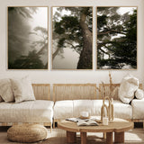 87969493-MGV-CV-36X24-Forest Wall Art – Misty Tall Trees Canvas Print, Dramatic Woodland Photography Decor for Bedroom, Living Room, Office, Cabin,